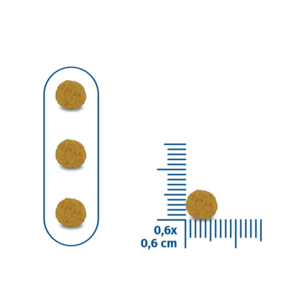 Seven Cats Cat Food For Kitten - Chicken & Beef [Immune Boost] 10kg+100g