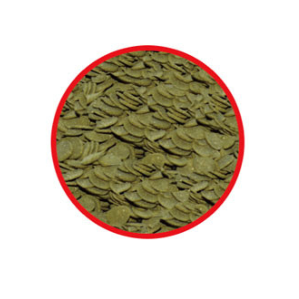 KW Zone Aquafin Algae Wafers[Volume - 250ml]