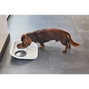 Moderna Tidy Diner Mess-proof double diner feeder 2x 300 ml