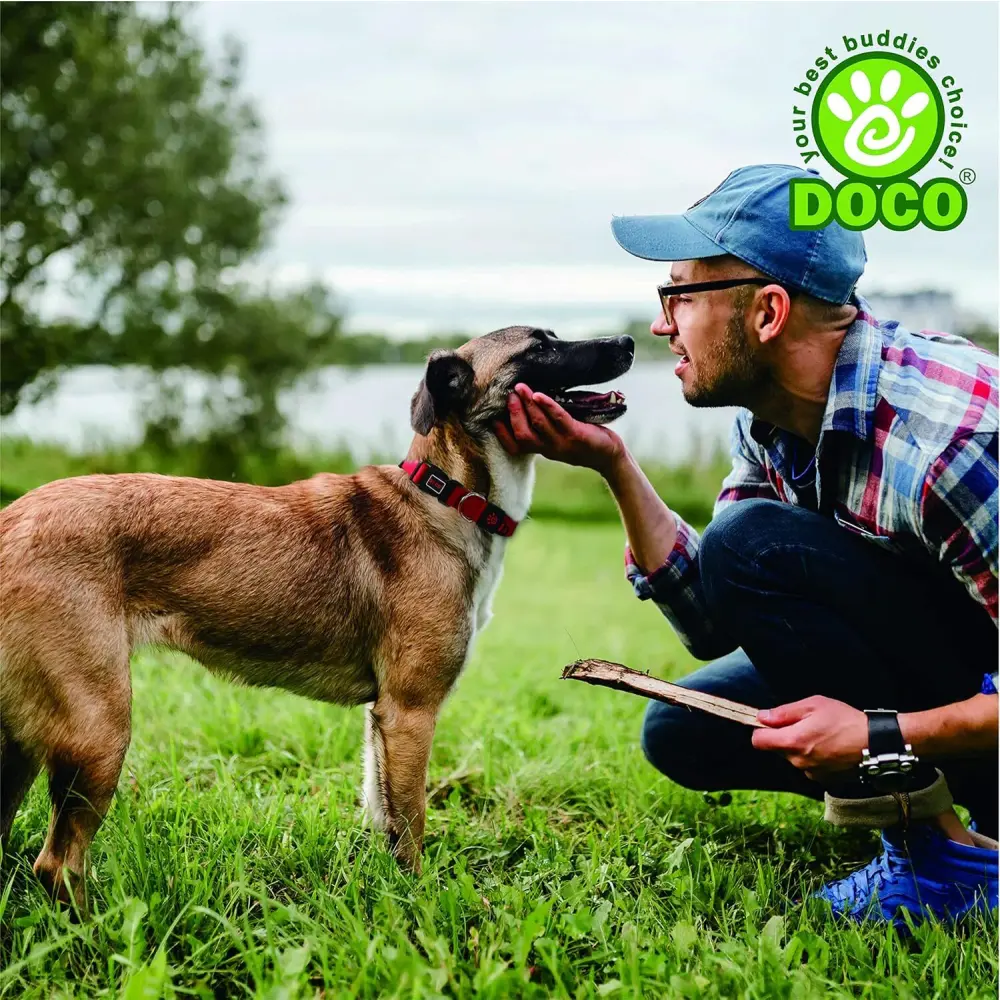 DOCO Signature O - Ring Collar[Color - Maroon, Size - XS]