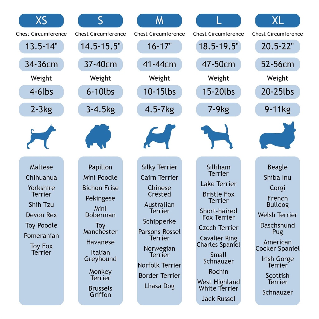 Doco Athletica QUICK V Mesh Harnes (DCA308)[Color - Blue, Size - XS]