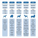 Doco Athletica QUICK V Mesh Harnes (DCA308)[Color - Blue, Size - XS]