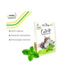 Dentalight Natural Catnip 15g