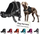 DOCO Vertex Power Harness Previous (DVX1)[Color - Black, Size - S]