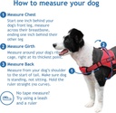 DOCO Vertex Power Harness Previous (DVX1)[Color - Black, Size - S]