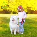 DOCO® JELLY BEAN LEASH 5ft (DCA1150)[Size - S, Color - Safety Orange]