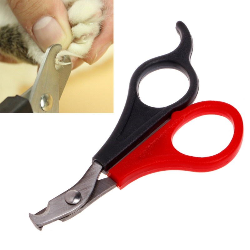 Pado Double Colourd Bird Clipper - 10x6 cm