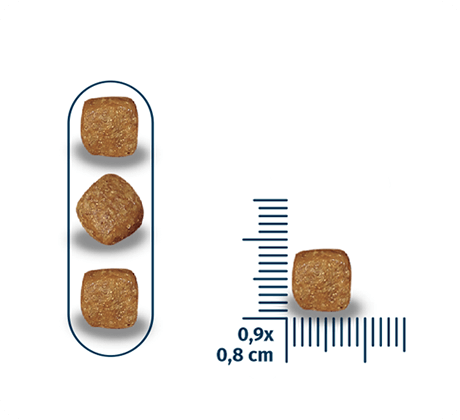 Seven Dogs Dog Food For Adult - Medium And Large Breeds-Lamb & Rice 14kg