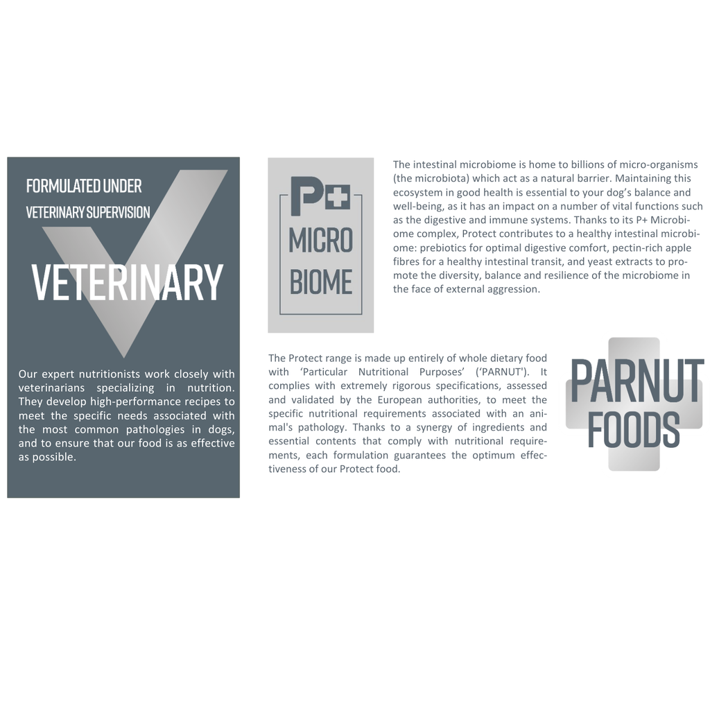 Pro nutrition Protect Dermato[Dermatological]-Dog Food For Adult All Sizes 2kg 