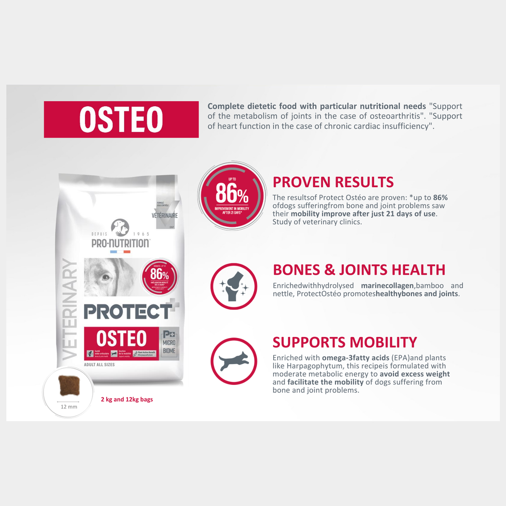 Pro nutrition Protect Osteo[Bone & Joint]-Dog Food For Adult All Sizes 2kg 