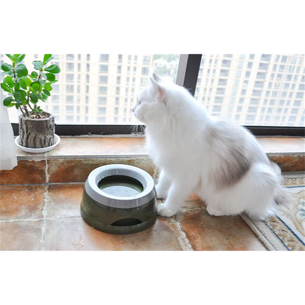 Pado Classic Round Anti-Spil Pet Bowl 15.3×18.9×8cm-Green