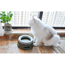 Pado Classic Round Anti-Spil Pet Bowl 15.3×18.9×8cm-Green
