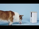 Dogness Smart Pet Treat Dispenser with HD – 1080p Camera App Control