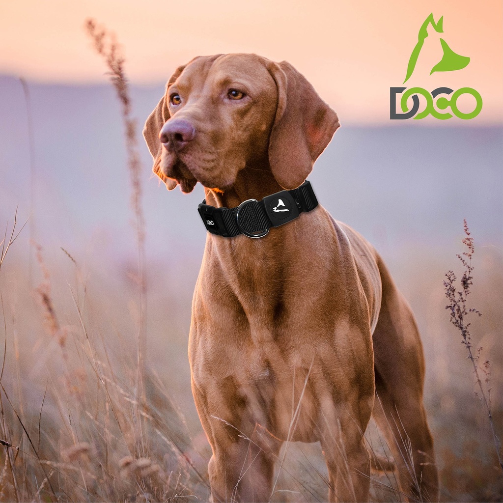 DOCO Signature Nylon Collar (DCSN002)[Color - Orange, Size - L]