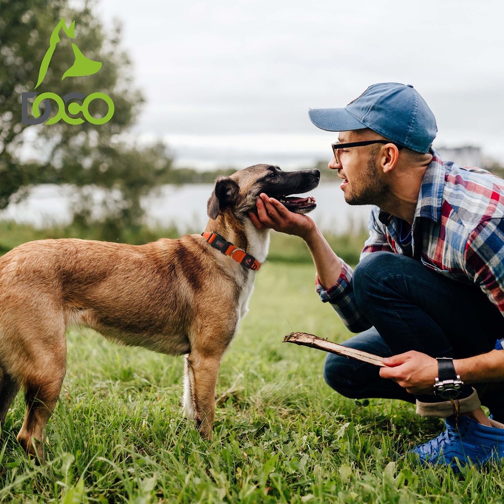 DOCO Signature Nylon Collar (DCSN002)[Size - XL, Color - Safety Orange]