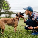 DOCO Signature Nylon Collar (DCSN002)[Size - XL, Color - Safety Orange]