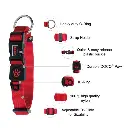 DOCO Signature O - Ring Collar[Size - XS, Color - Safety Orange]