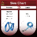 DOCO® LOCO Cat Harness + Leash Combo - Printed Pattern 6ft (DCAT202+2072)[Size - XS, Color - Q1]