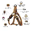 DOCO® LOCO Step-In Harness-2.0 x 51-74cm AR