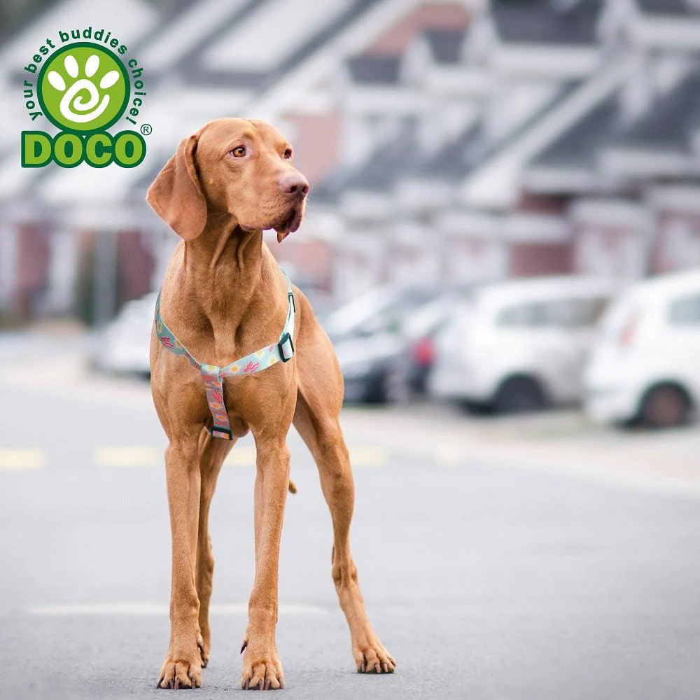 DOCO® LOCO Step-In Harness-2.0 x 51-74cm AR