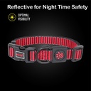 DOCO® Martini Bean Collar (DCS008)[Size - M, Color - Lemon]