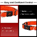 Doco Puffy Mesh Collar (DCA102)[Color - Red, Size - XL]