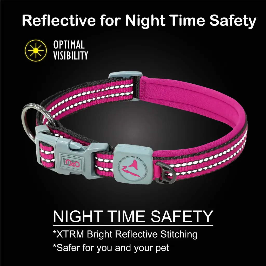 Doco Vario O-Ring Collar With Reflective Stitching [2x44-55cm] - Light Blue