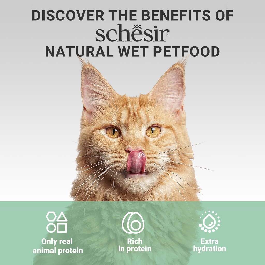 Schesir Complements Cat Wet Food  in Broth- Beef 70g [MOQ:12pcs]