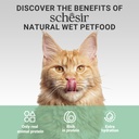 Schesir Complements Cat Wet Food  in Broth- Beef 70g [MOQ:12pcs]