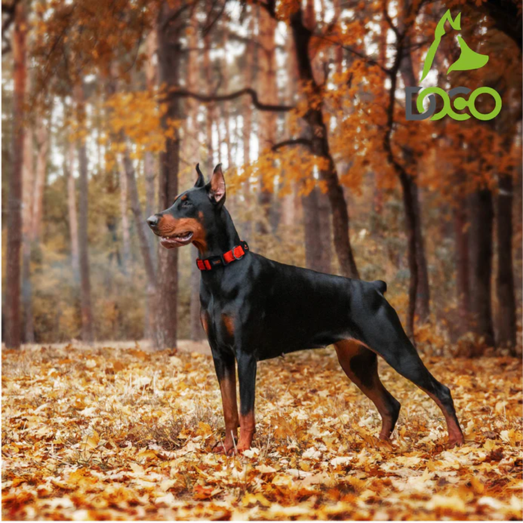 DOCO® Puffy Air Collar X.Large-3.8 x 52-80cm-Black