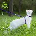 DOCO® Heat Transfer Cat/Dog Harness C1XS [Neck1x19-27cm; Chest1x28.5-46cm]
