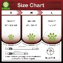 DOCO® LOCO Collar Large-2.5 x 45-68cm C15