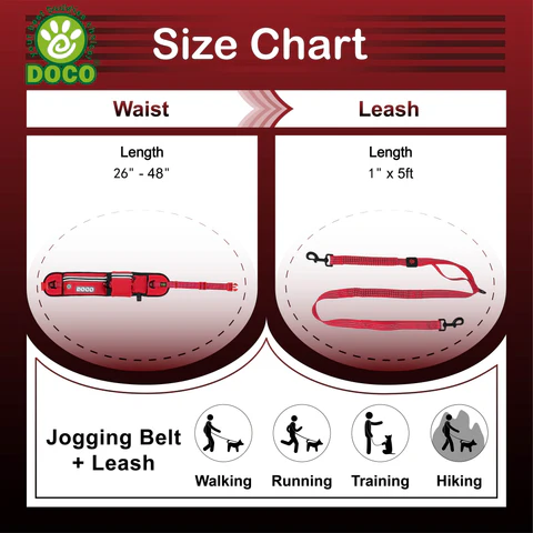 DOCO® Lite Reflective Jogging Belt With Reflective Bungee [Bag:2.5 x 76-107cm ; Leash: 2.5 x 130-150cm]-Safety Orange