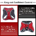 DOCO® NET Mesh Sport Harness Medium-41-44cm / 4.5-7kg-Maroon