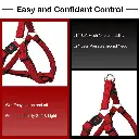 DOCO® Puffy Air Step- In Harness Medium-2.5 x 53-77cm-Rasberry pink