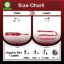 DOCO® Reflective Jogging Belt With Reflective Nylon [Bag:68-120cm ; Leash:2.5x150cm]-Black