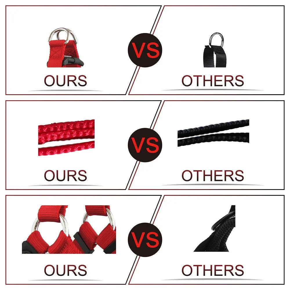 DOCO® Signature Step-In Harness-3.8 x 75-110cm (XL)-Turquoise