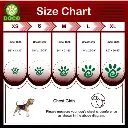 DOCO® Signature Step-In Harness-3.8 x 75-110cm (XL)-Turquoise