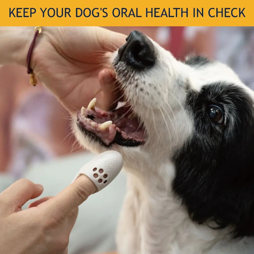 DOCO® Silicone Toothbrush 2.8 x 15cm (4pcs/box)-Mix Color