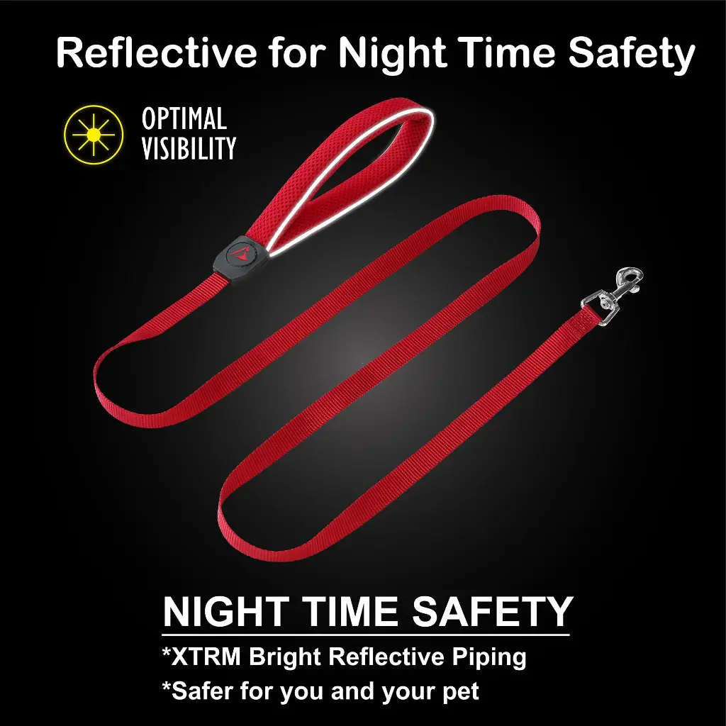 DOCO® Silver Reflective Mesh Leash Small-1.5 x150cm-Black