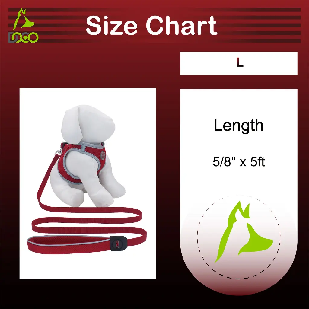 DOCO® Silver Reflective Mesh Leash Small-1.5 x150cm-Black