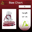 DOCO® Silver Reflective Mesh Leash Small-1.5 x150cm-Black