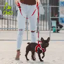 DOCO® Silver Reflective Mesh Leash Small-1.5 x150cm-Turquoise