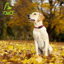 DOCO® Puffy Air Collar Medium-2.5 x 34-49cm-Amethyst