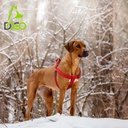 DOCO® Puffy Air Step- In Harness Large-3.2 x 66-97cm-Amethyst