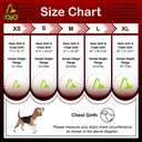 DOCO® Reflective Chest Plate Mesh Free- Walking Harness X.Large-66 x 80-105cm-Turquoise