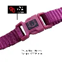 DOCO® Signature Cat Harness + Leash 6ft [Neck1x19-27cm; Chest1x28.5-46cm]-Grey