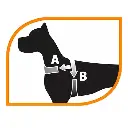 Ferplast Fantasia P Harness[Color - Mixed Colours, Size - XS]