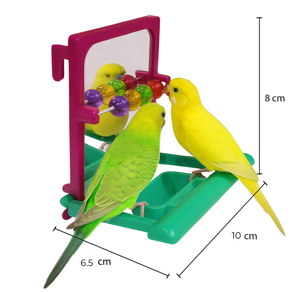 Pado Bird Toy Mirror[Dimension - 10 x 8 x 6.5 cm]