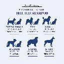 Chris Christensen SmartWash50 Whitening & Brightening Shampoo 3.8L